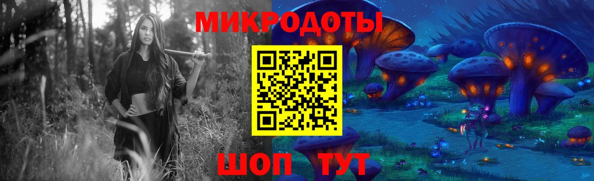 Галлюциногенные грибы Psilocybine cubensis Тверь